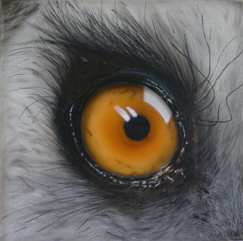 We 1, Canvas
