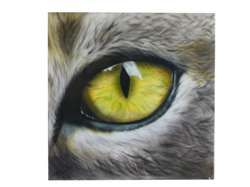 See 1, Canvas